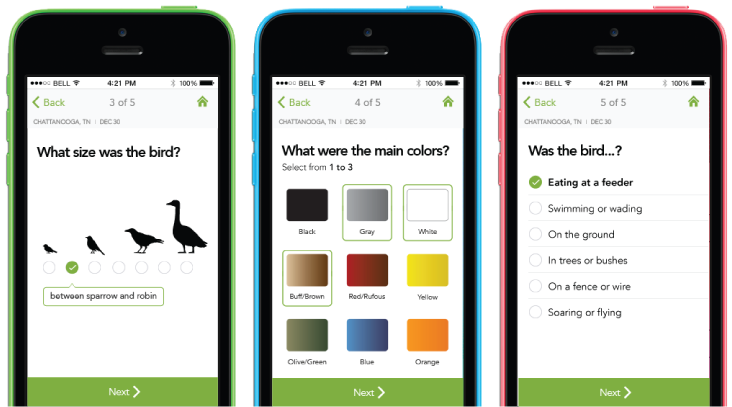 Merlin App. Cornell Lab of Ornithology