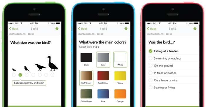 Merlin App. Cornell Lab of Ornithology