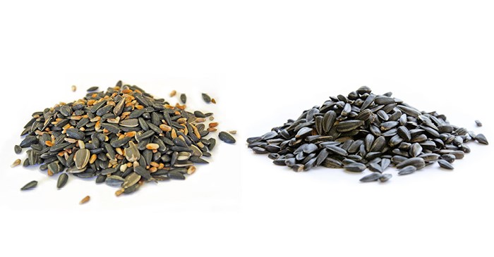 Cardinal Mix wild bird food (left) and black oil sunflower seed (right)