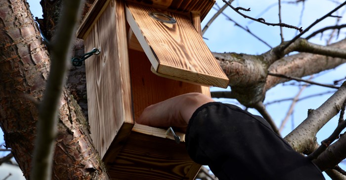 Cleaning nest box