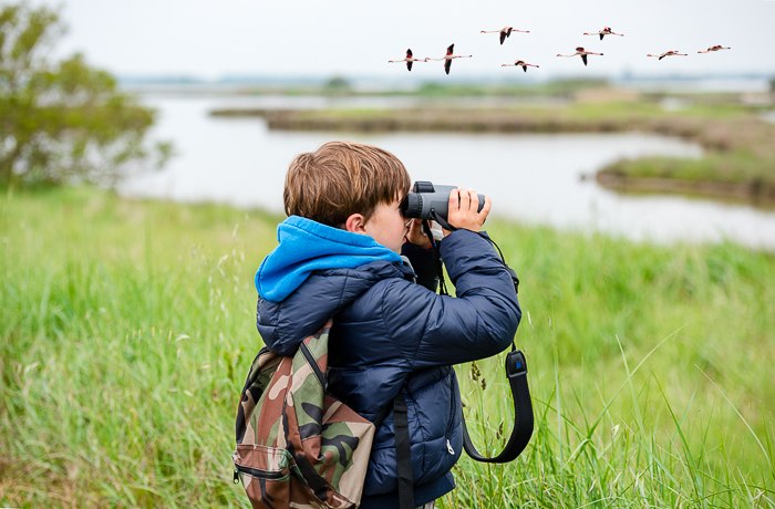 Young child birdwatching by a lake.