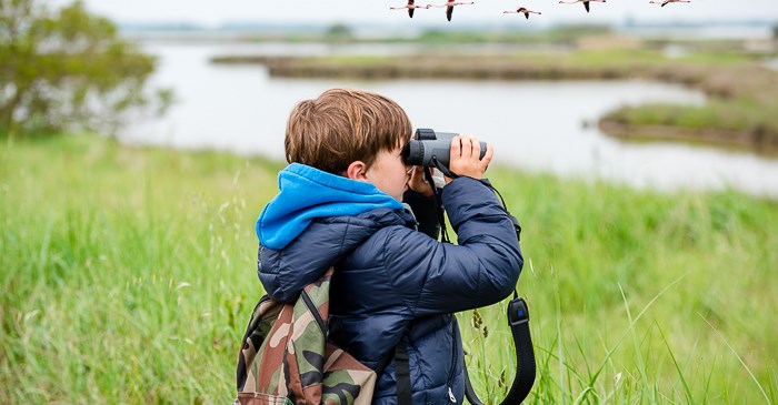 Young child birdwatching by a lake.